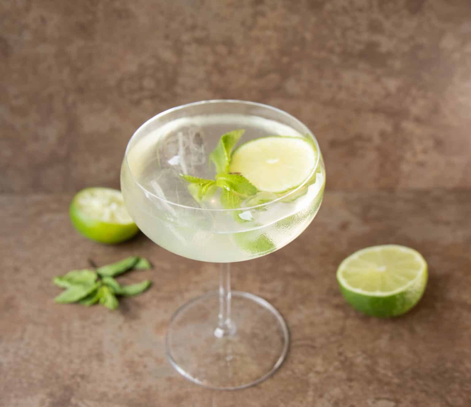 Velkomstdrink med gin