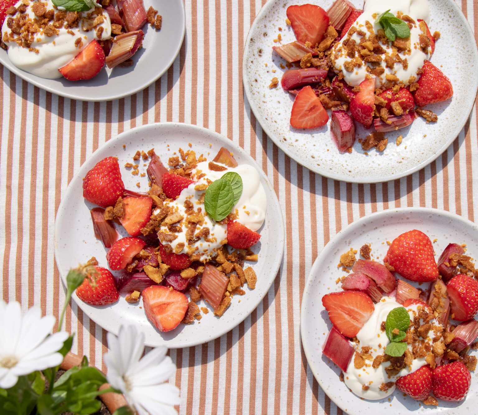 Bagte rabarber med råcreme og karamelliseret chokolade