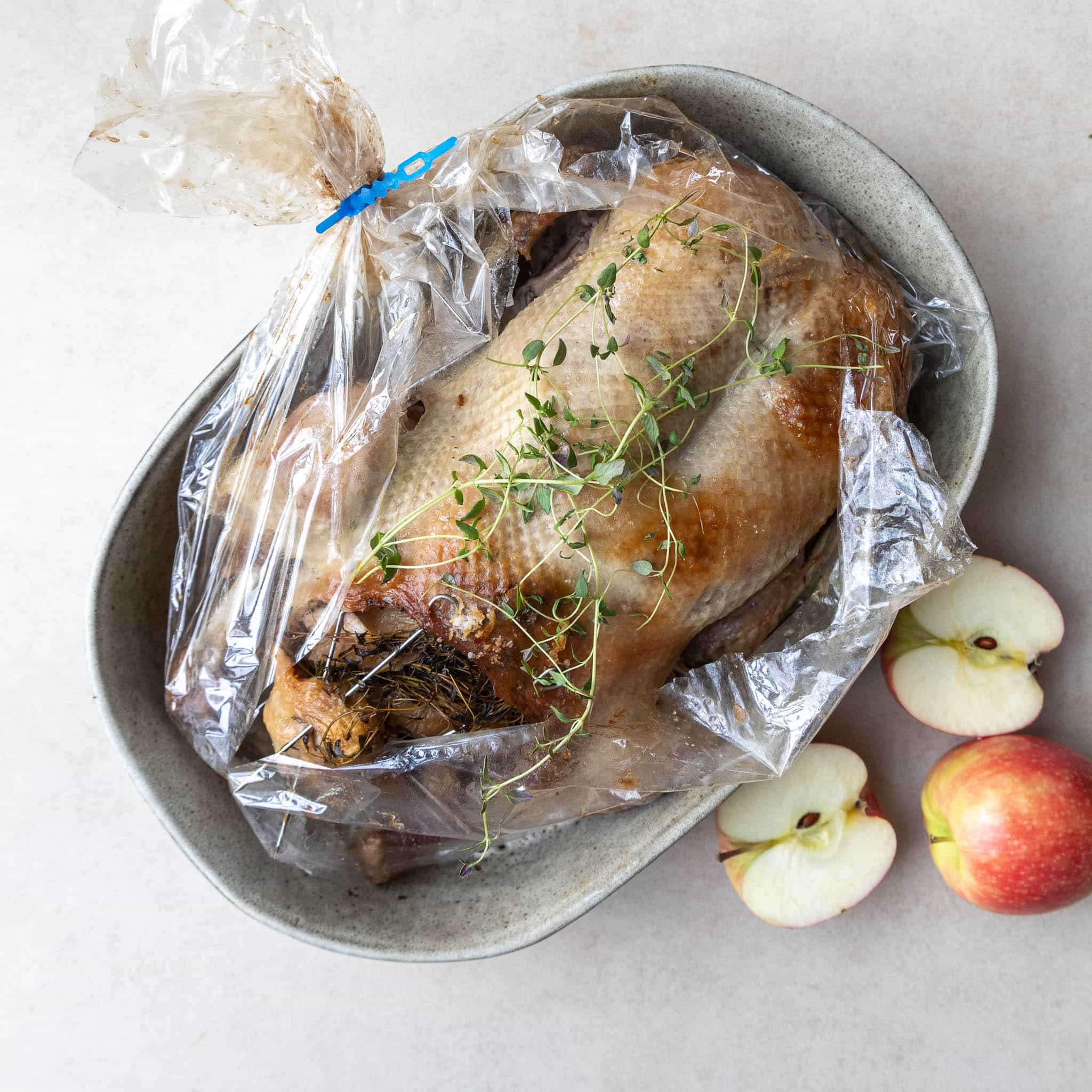 Andesteg i stegepose